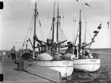 Danish Fishing Boats