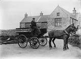 Horses  and carriage at Robin's Brae