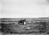 Woman with pony and peats
