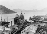 Whaling station
