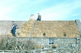 Southvoe, Boddam: tekkit roof