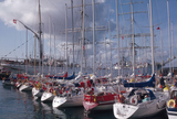 Bergen-Shetland yacht race