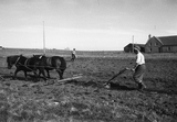 Ploughing with horses