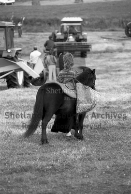 Woman with Shetland pony