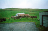 Caravan and lambhouse